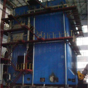 DHW Biomass Boiler