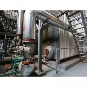 SZS Gas Fired Boiler