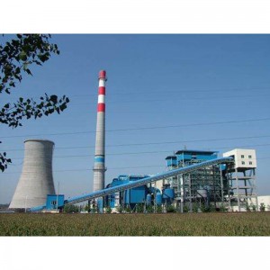 DHL Coal Fired Boiler