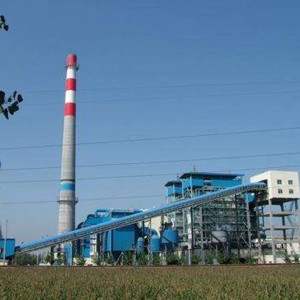 DHW Biomass Boiler