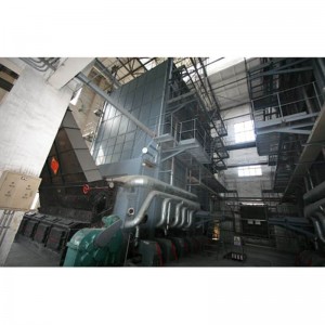 SHW Biomass Boiler