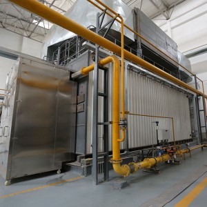 SZS Gas Fired Boiler